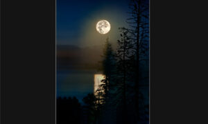 Moon Over Yellowstone