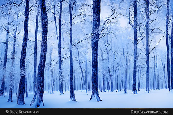 Guiding Light, Grand Lake St. Marys, OH