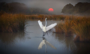 Last Light