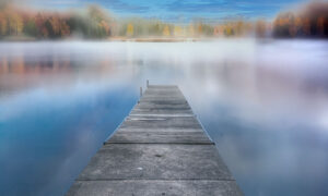 Lake Logan