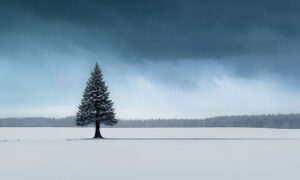 Solitude